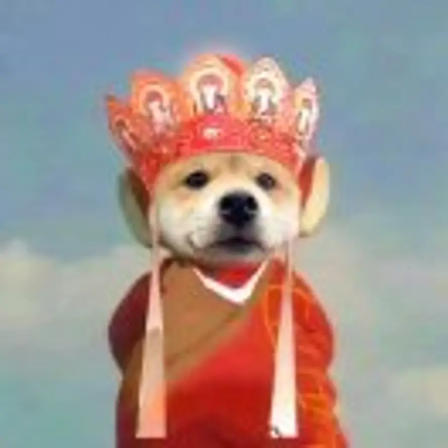 zᶻ.的头像
