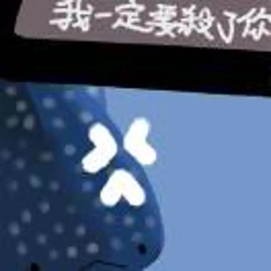 倒时差的小鲨鱼的头像