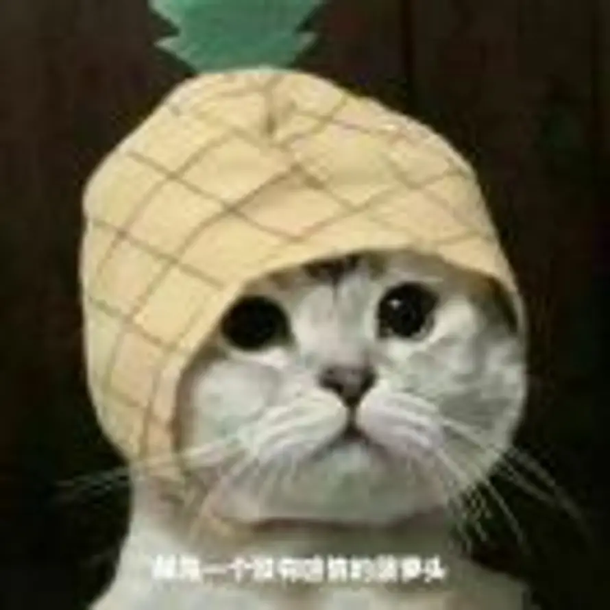 ykiiiil的头像