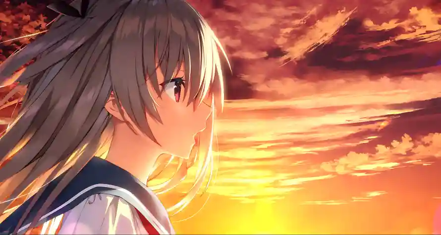 Favorite Image