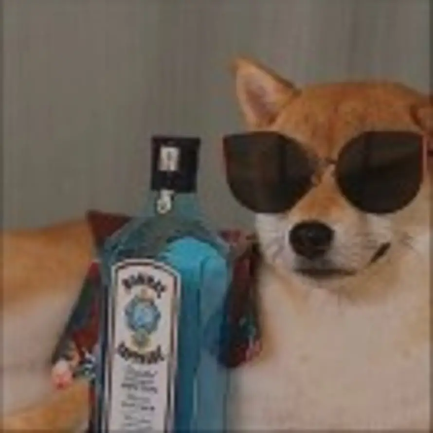 残风尘缘的头像
