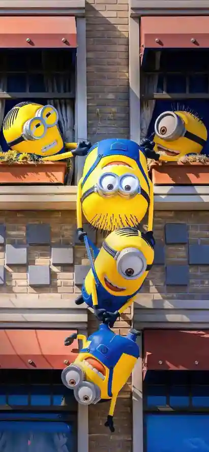 Favorite Image