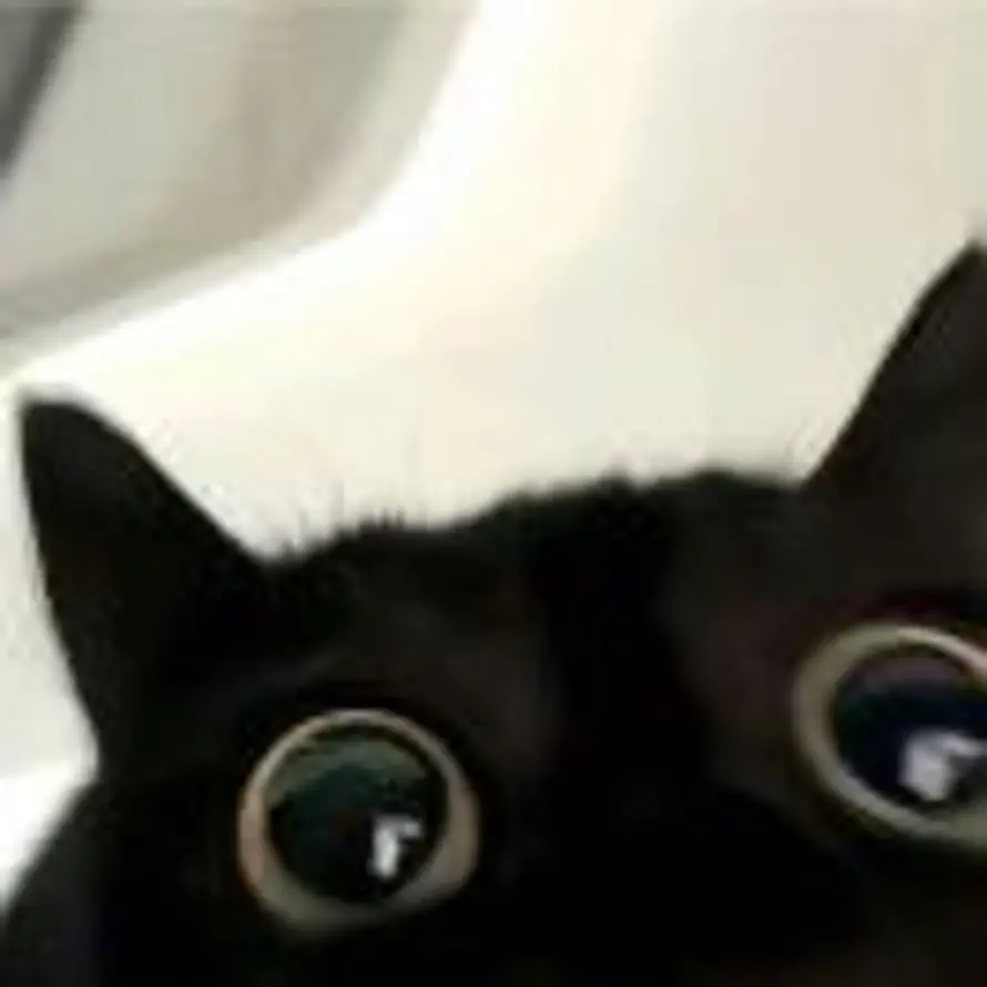 桃（pubg）业务dd高价收号的头像