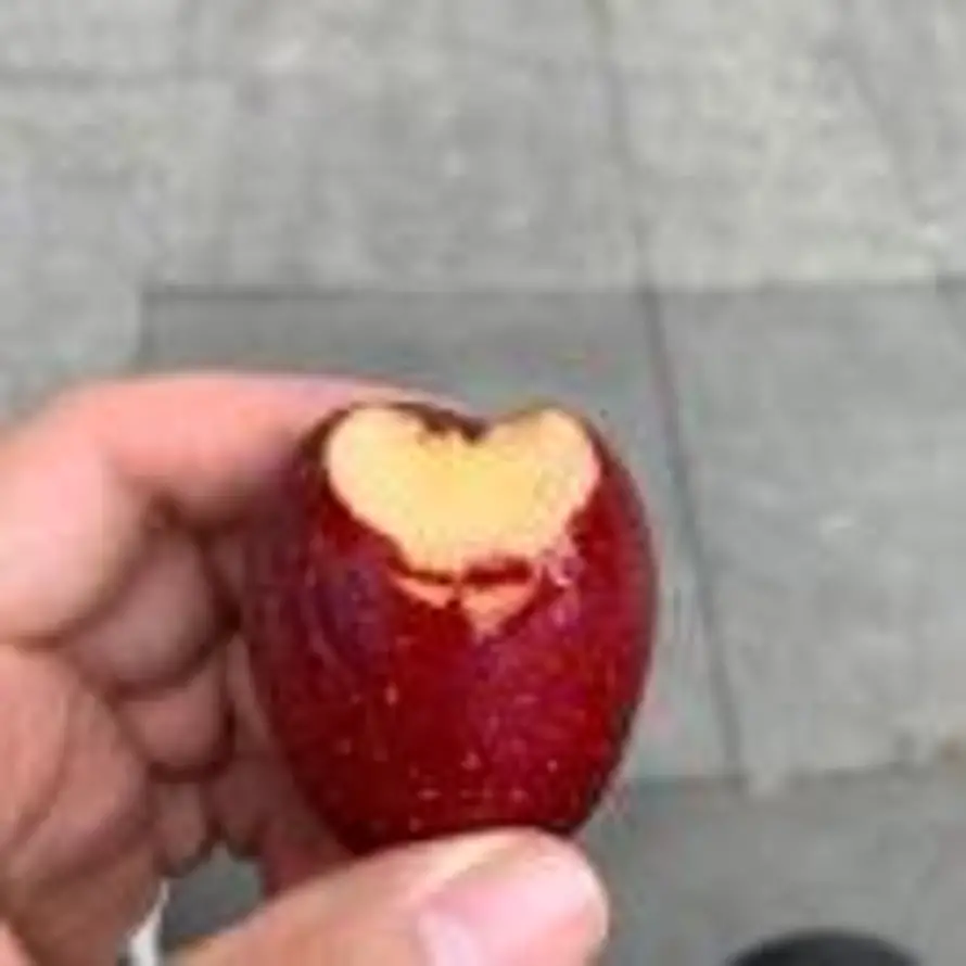 汉克斯的头像