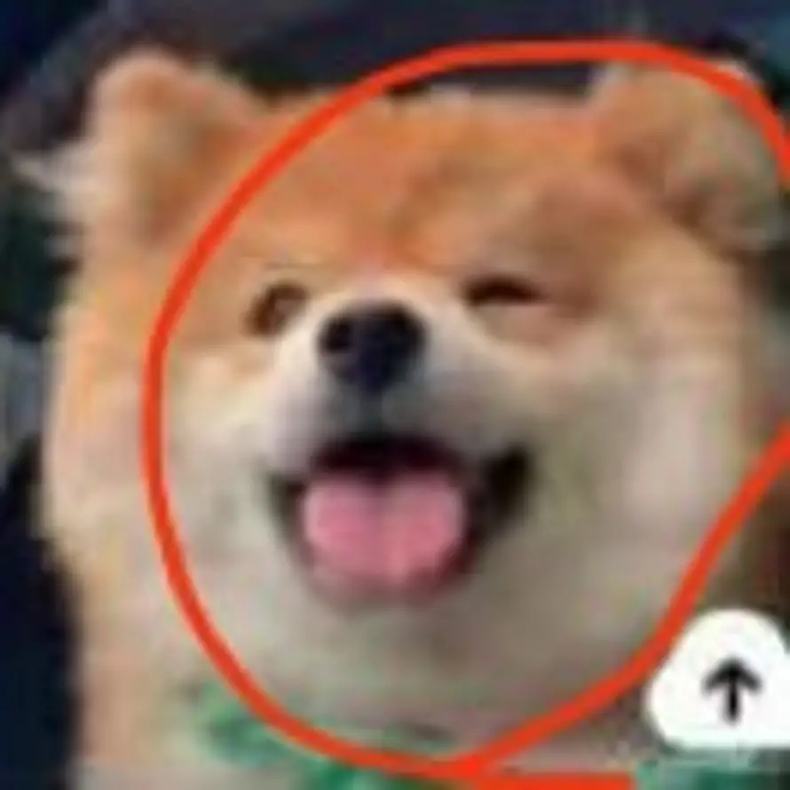 良良的头像
