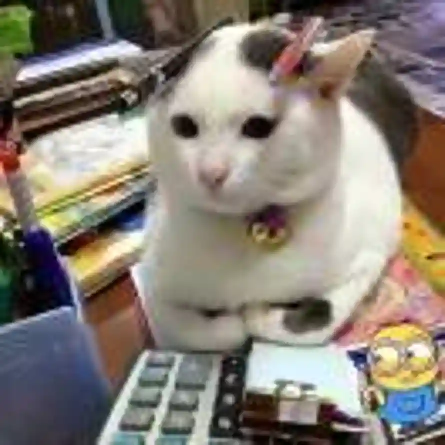 ๑松根有茯苓_的头像