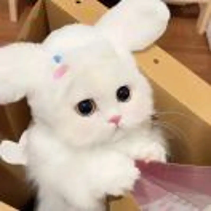 Yoli ?ིྀ的头像