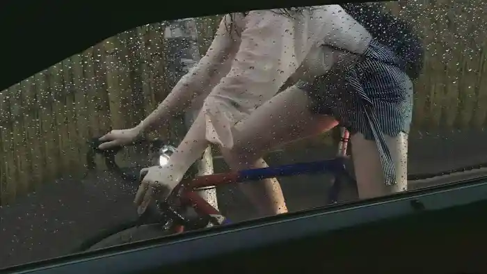 雨风铃的头像