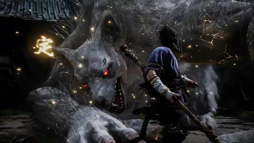 Favorite Image