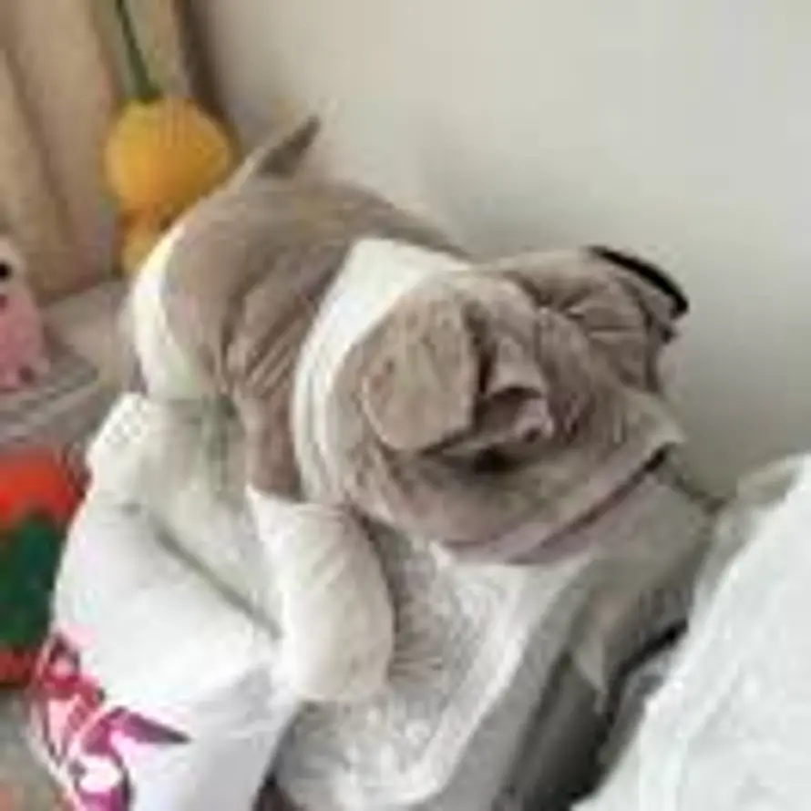 用户漫步云端的头像