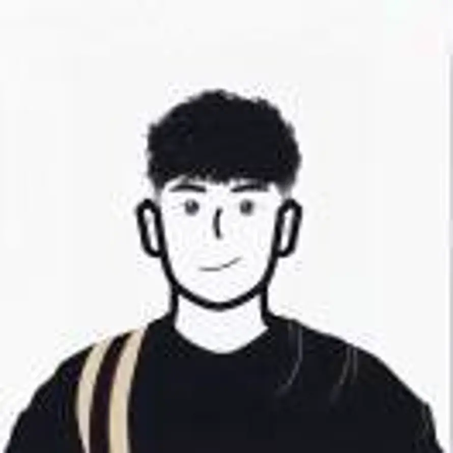 Z.的头像