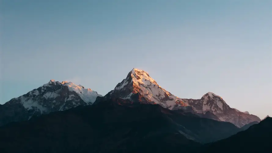 Favorite Image