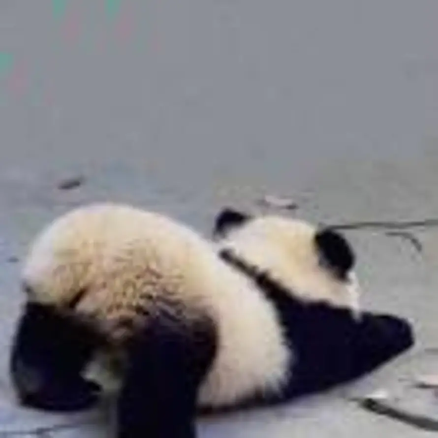 Maybok.的头像