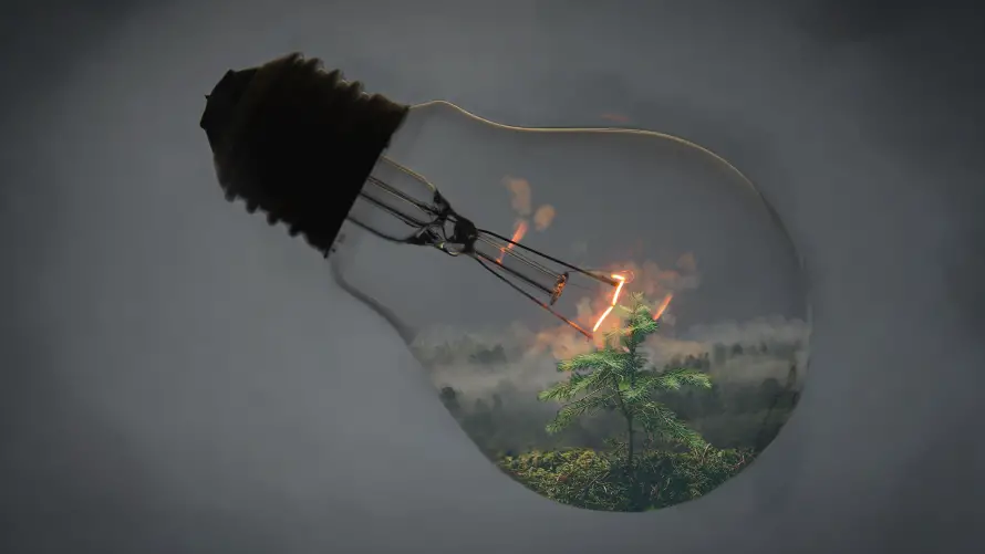Favorite Image