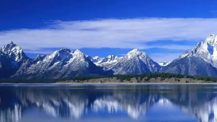 Favorite Image