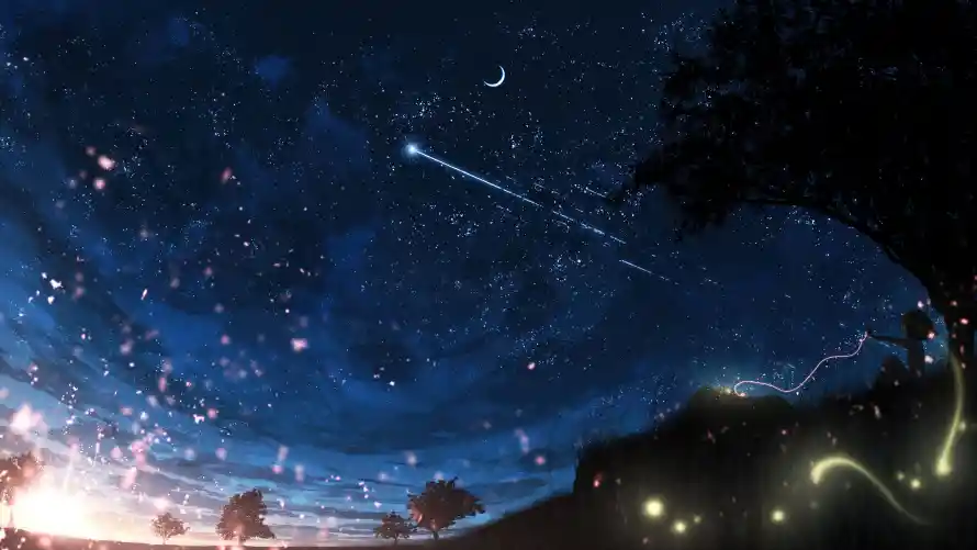 Favorite Image