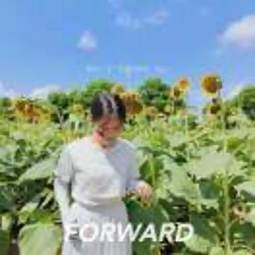 野绿的头像
