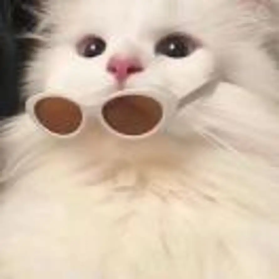 もみじ的头像