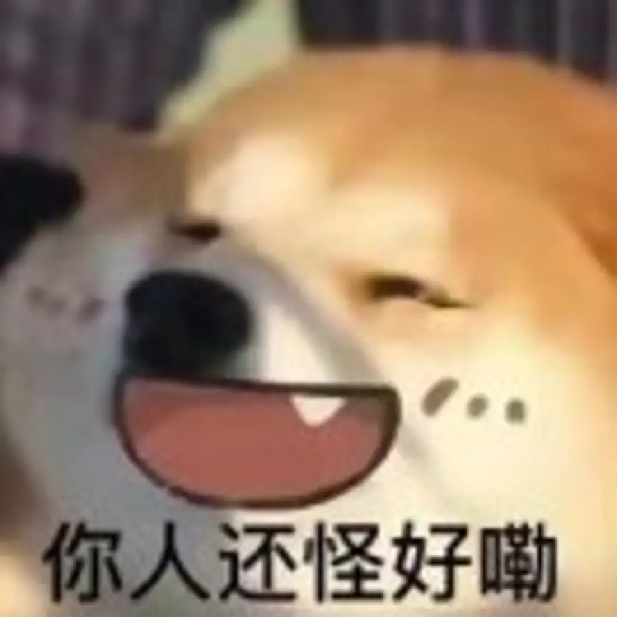 思浓本龙的头像