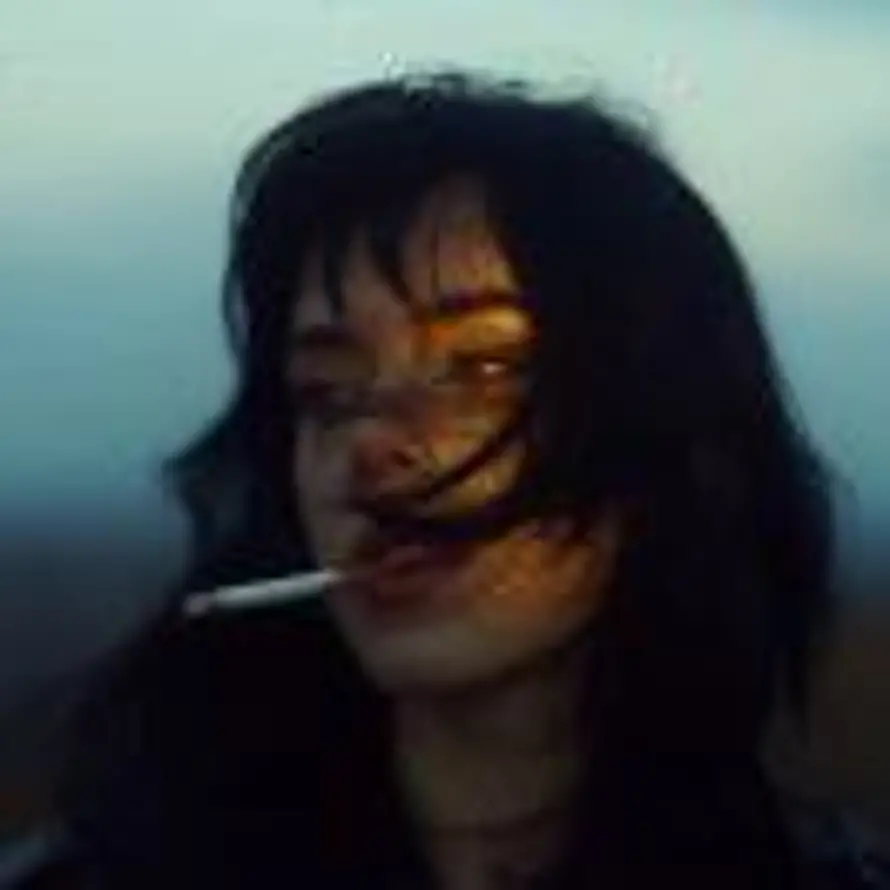 大伪装者的头像