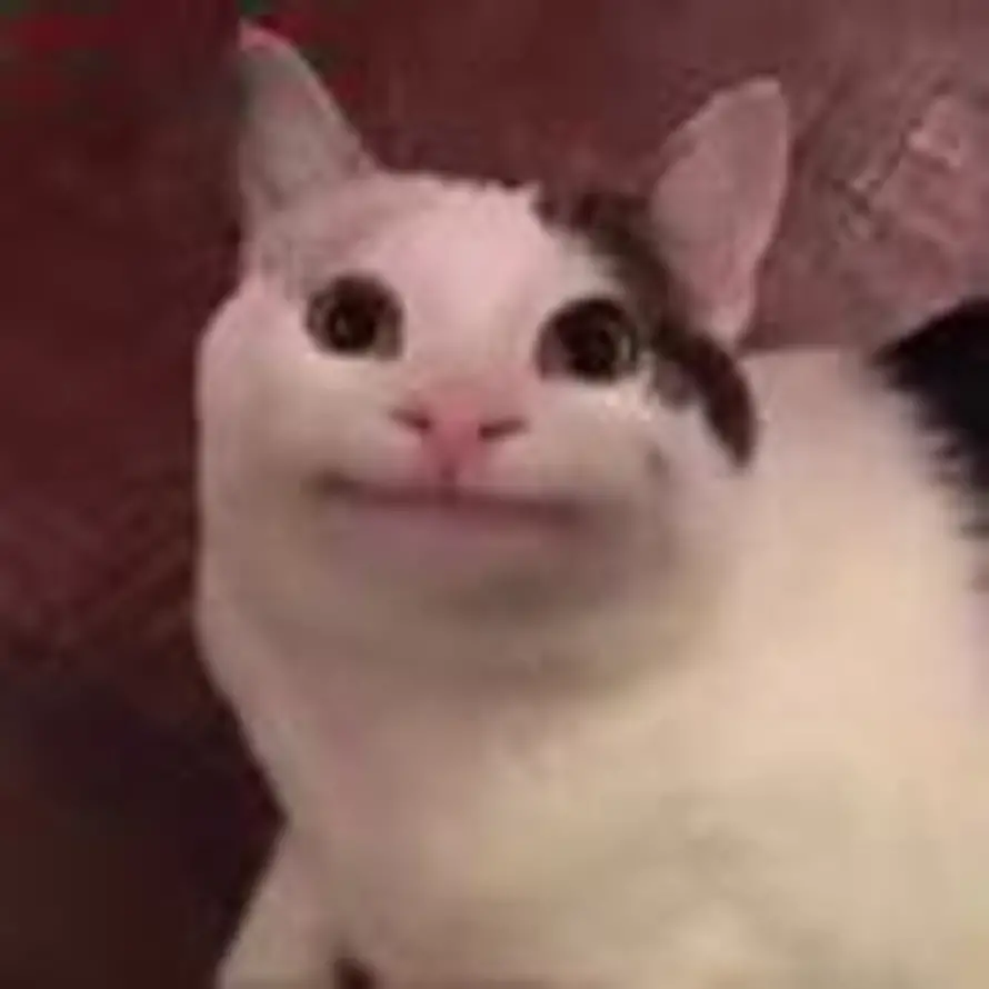 onvhjvf的头像