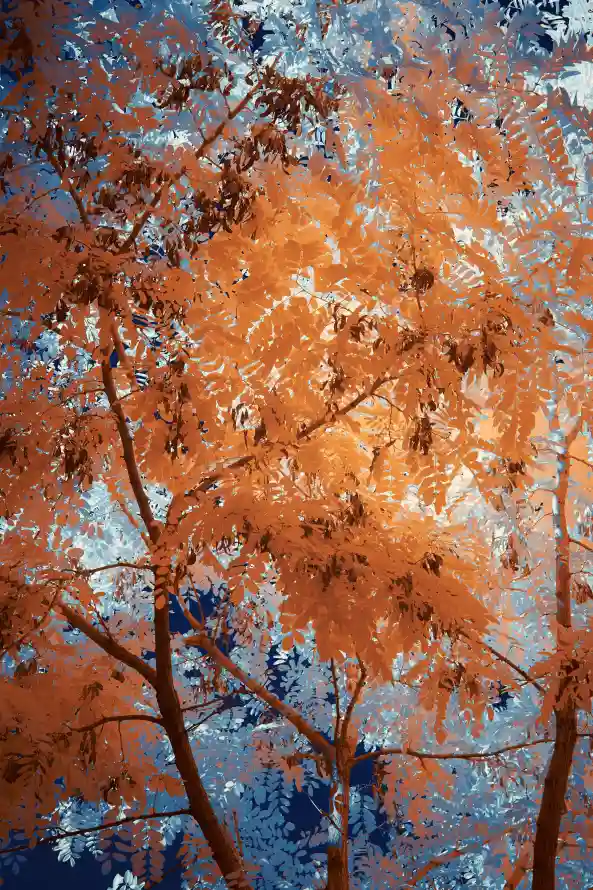 4k8k壁纸 - 风景 - 手机壁纸 - wallpaper「哲风壁纸」