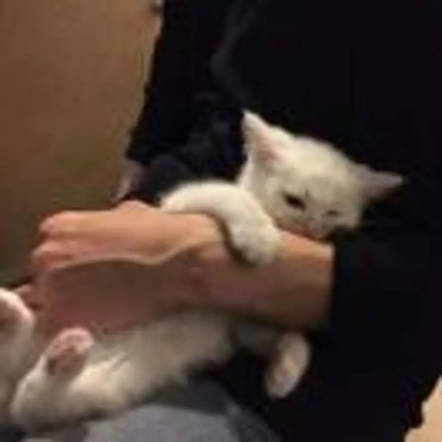 郑钟意的头像