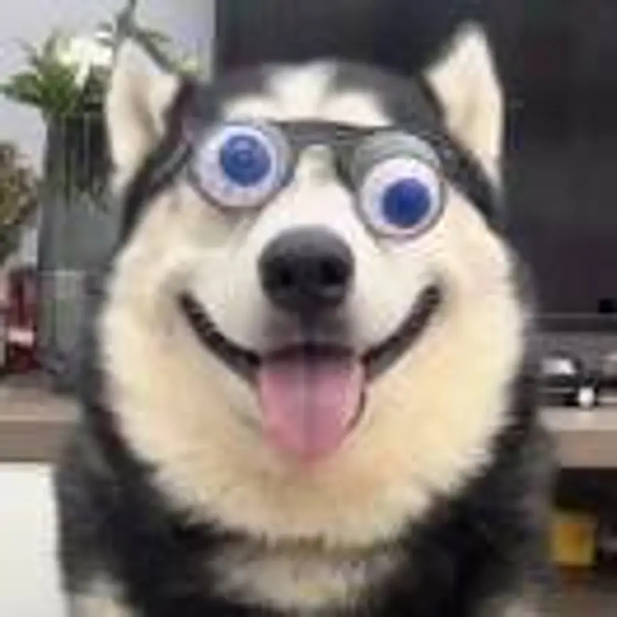 苏格拉底的头像