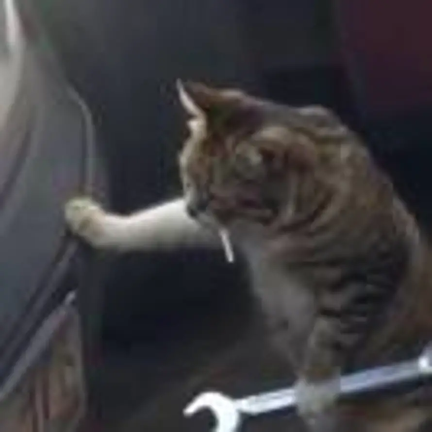 🍑🐱的的头像