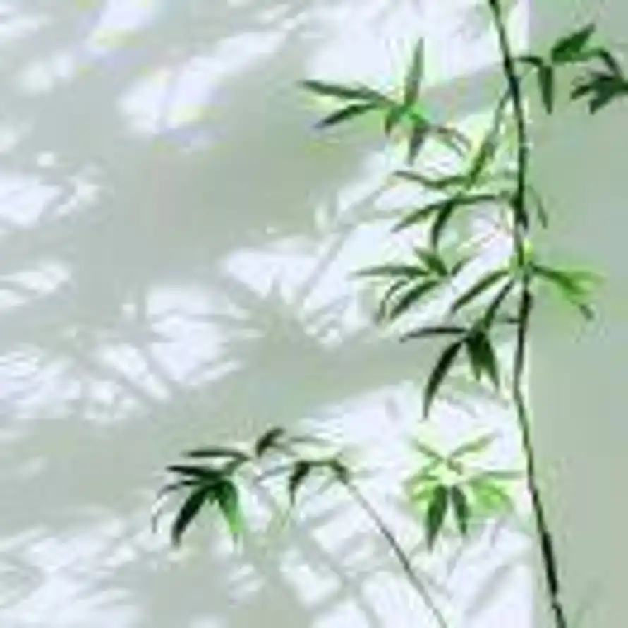 阿水的头像
