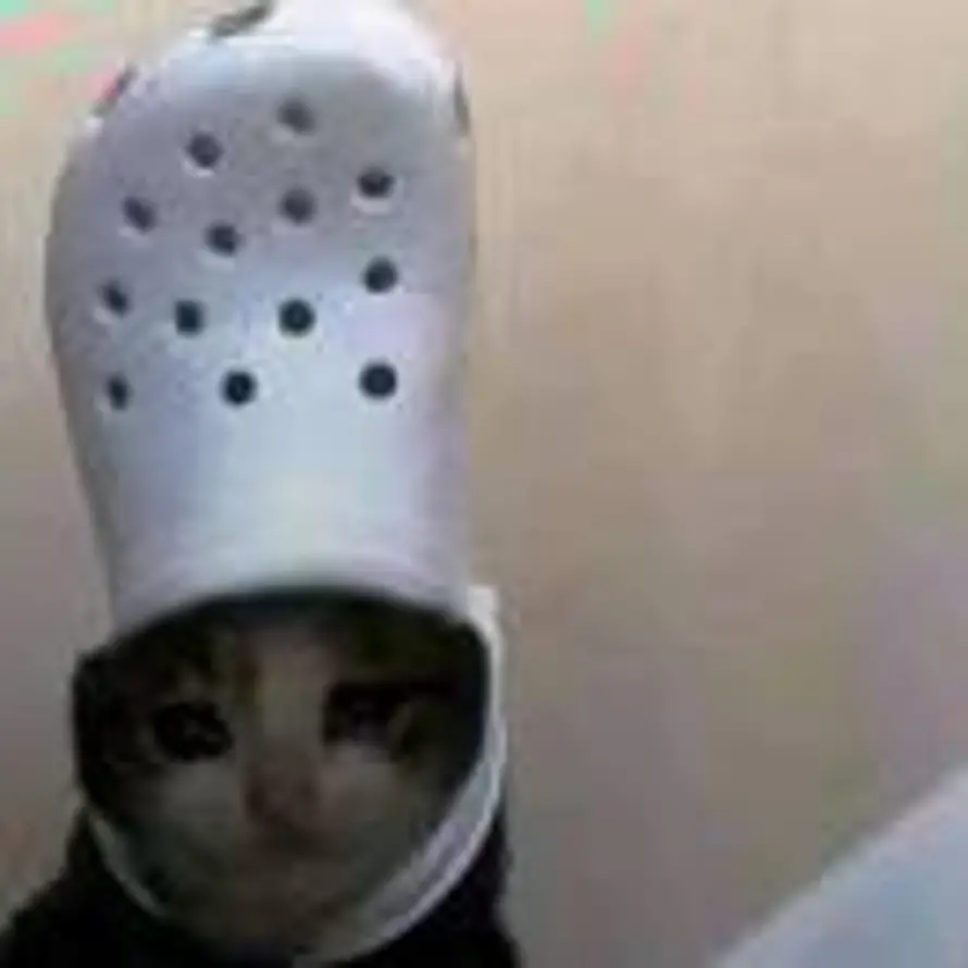 paprika的头像
