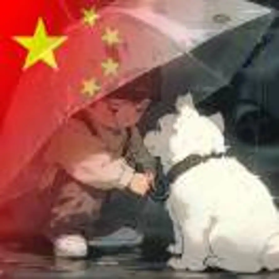 六七·十三的头像