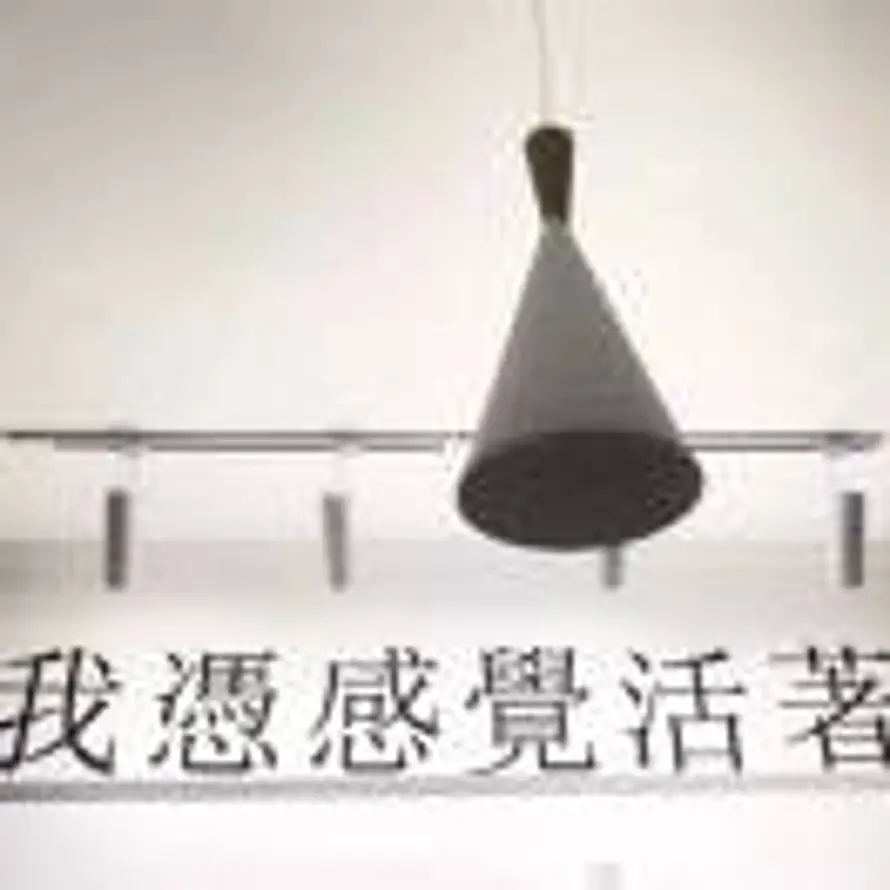 Roy的头像