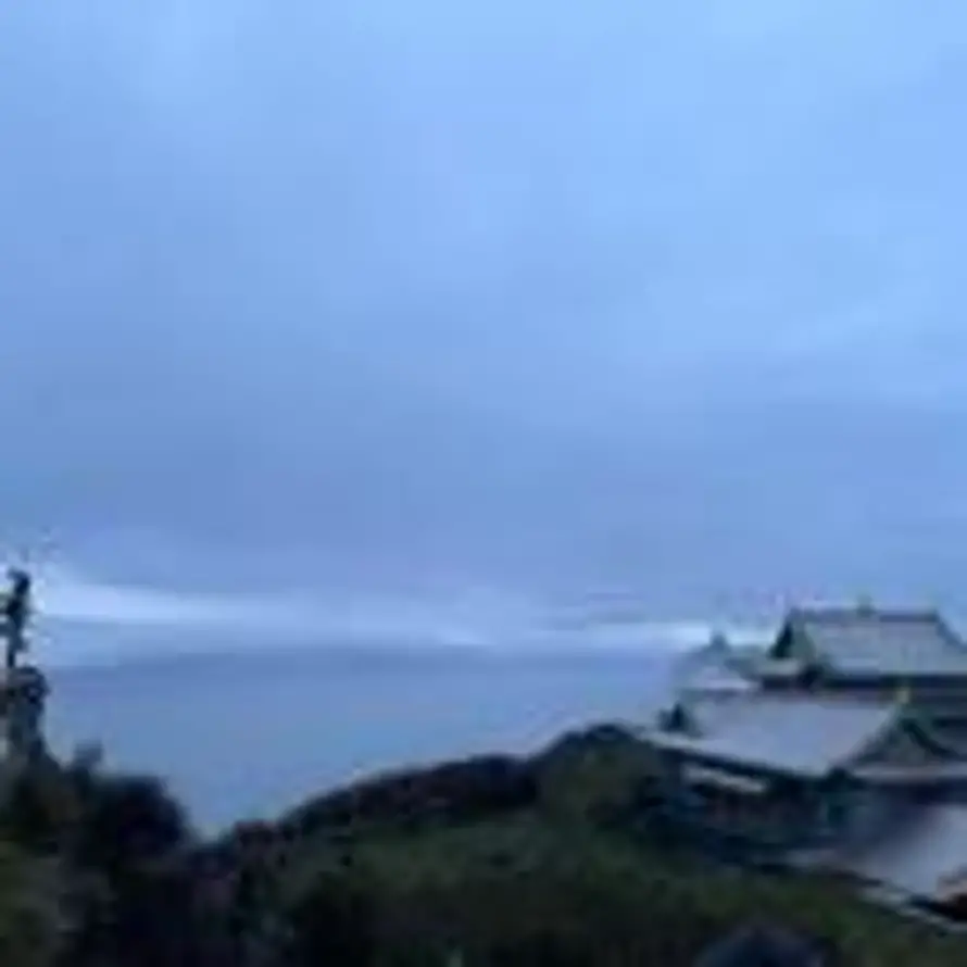 cc的头像