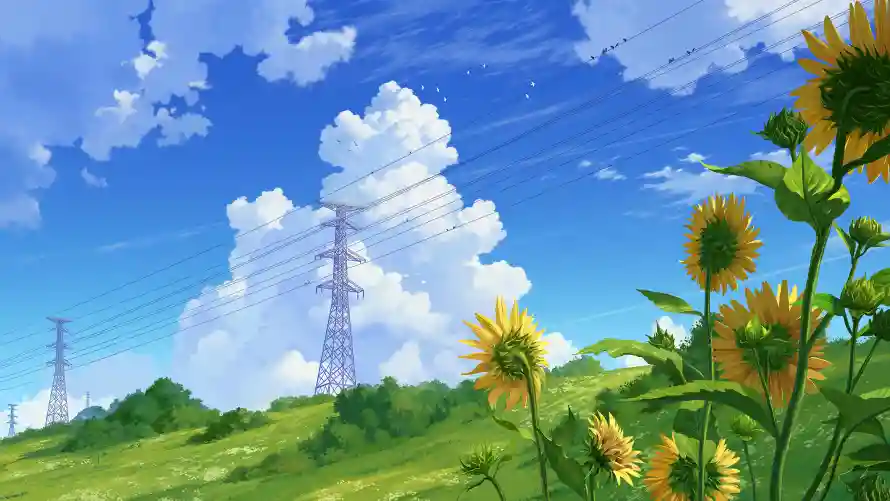 Favorite Image