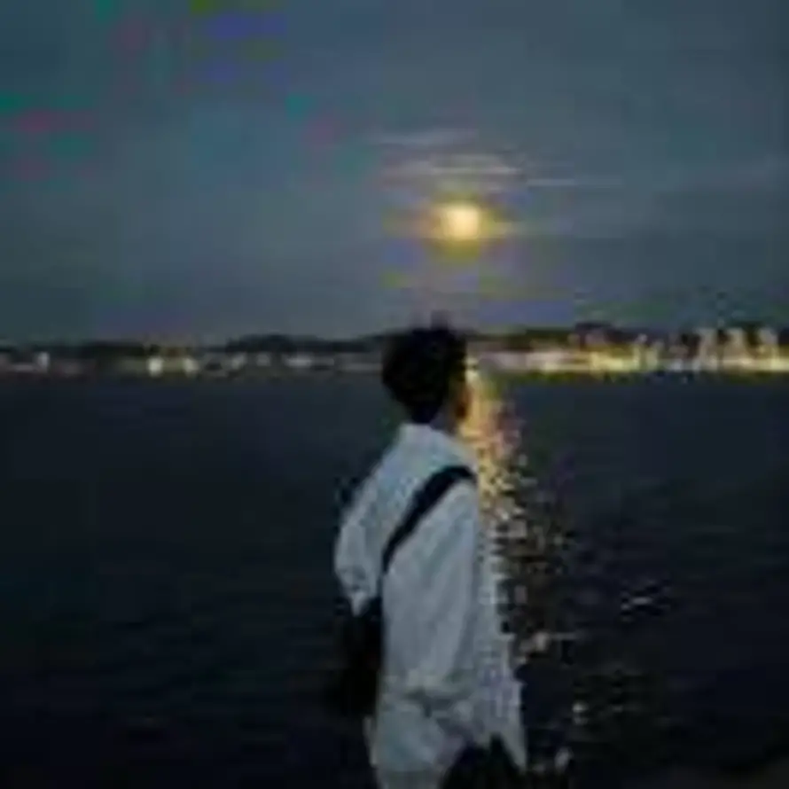 Night的头像
