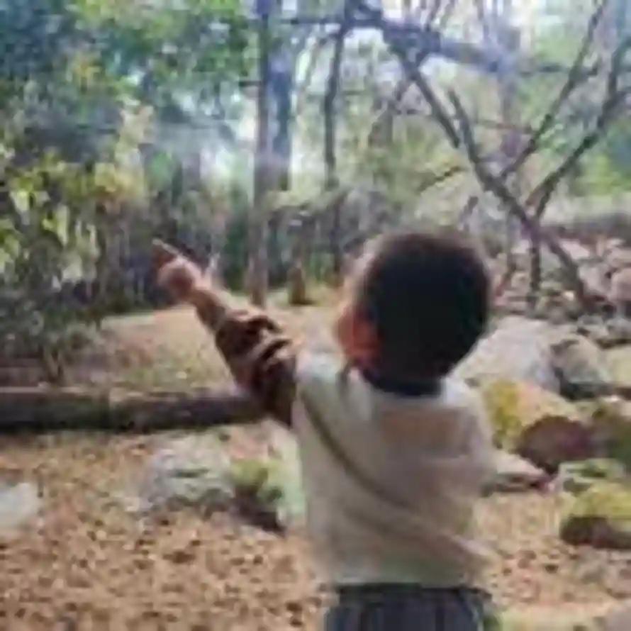 LasciaAndare的头像