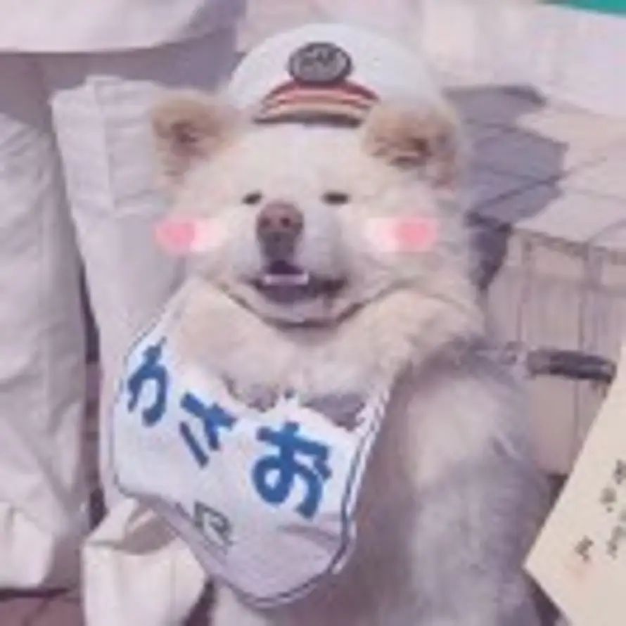 羡鱼的头像