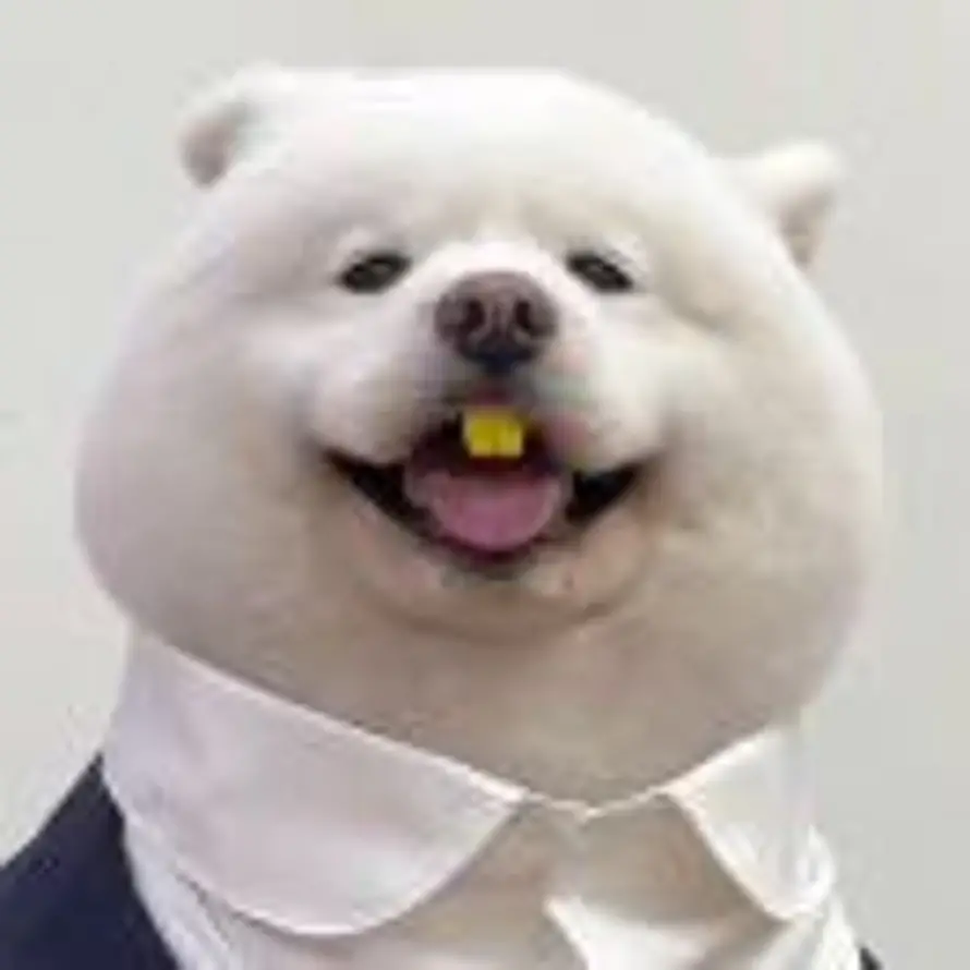 Lee的头像