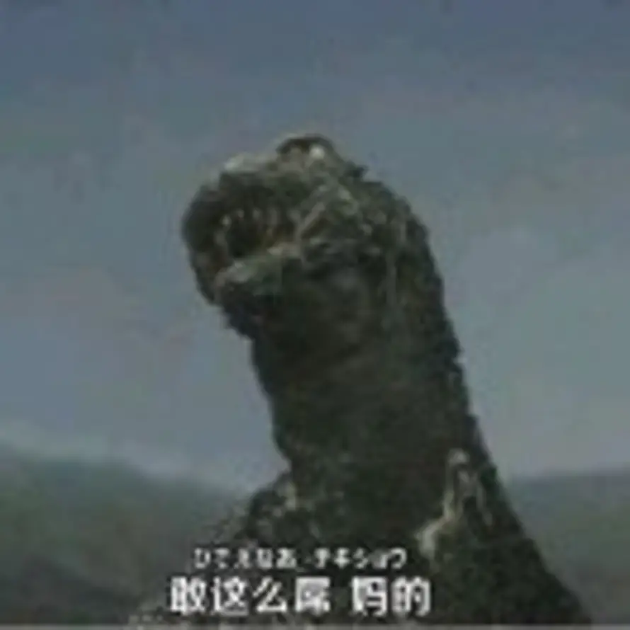 嘎的头像