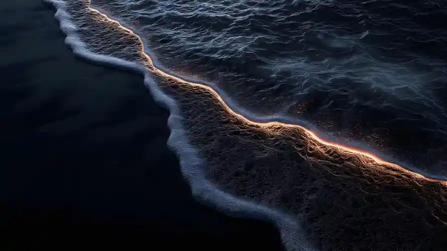 Favorite Image