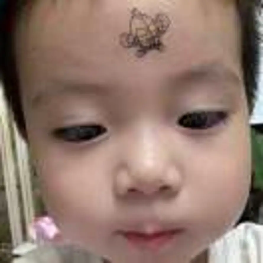 hh的头像