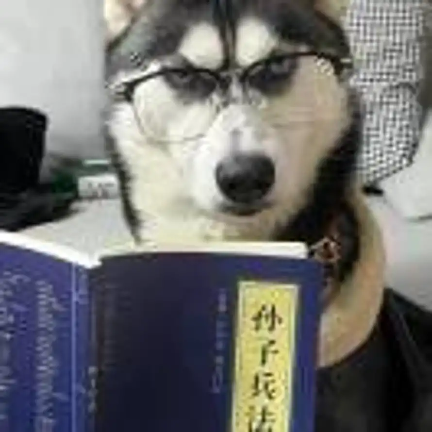 望月思君兮的头像