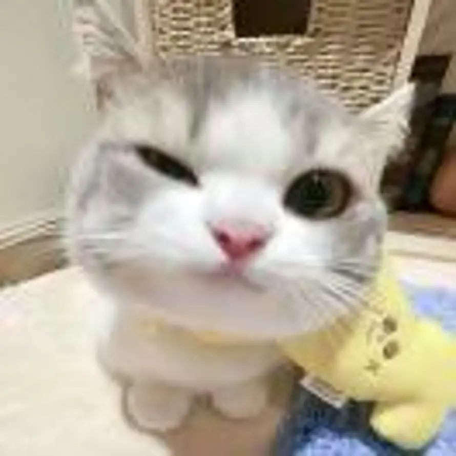 遇冬的头像
