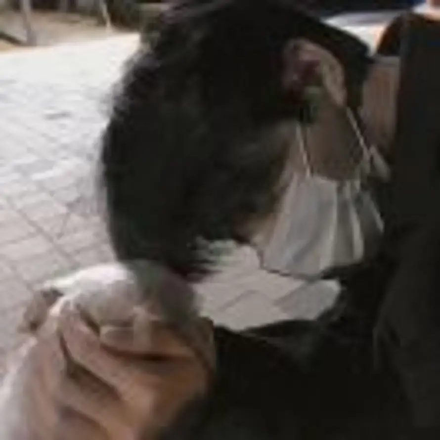 池白的头像