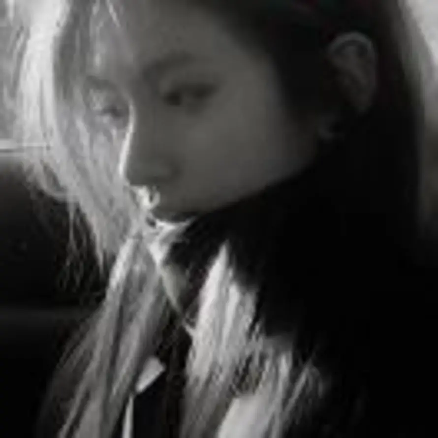 燕子的头像