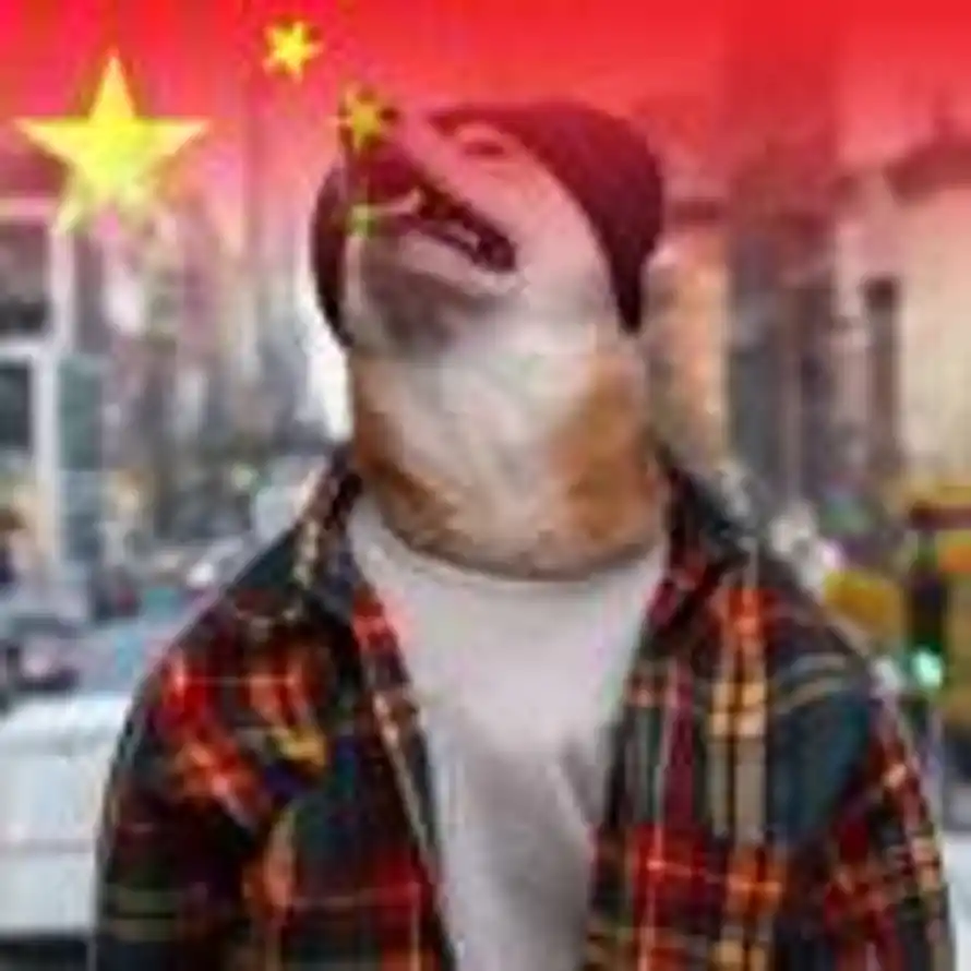 Still Fantasy的头像