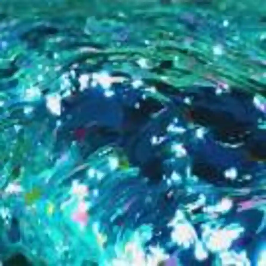 言柬的头像