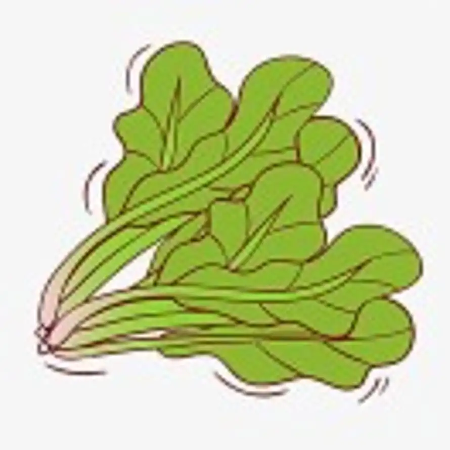 菠菜的头像