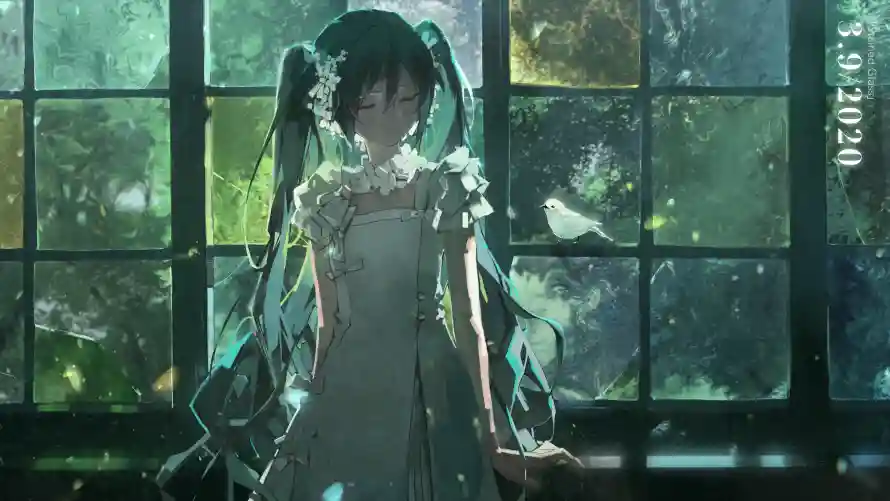 Favorite Image